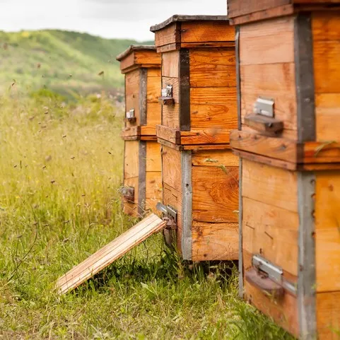 HIVE-TRACKERS